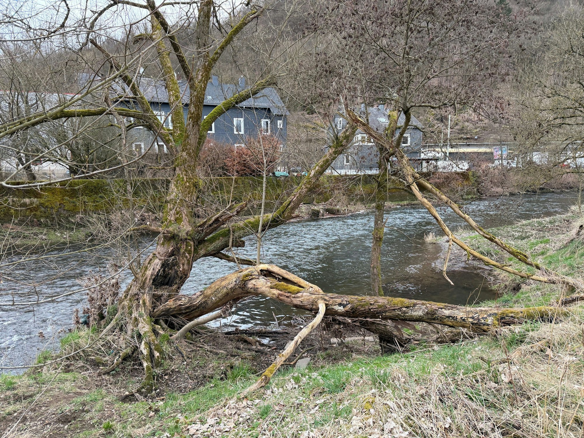 Blick auf ein Gelände an der Sieg in Siegen-Eiserfeld.