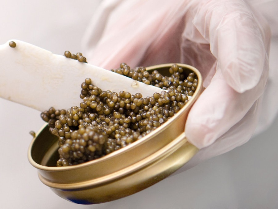 Schrenckii-Kaviar vom Amur-Stör bei «Imperial Caviar» in Berlin