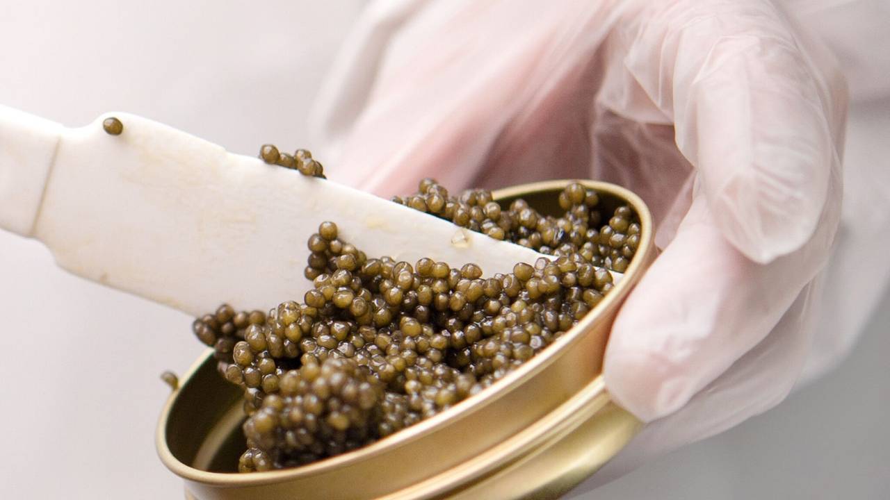 Schrenckii-Kaviar vom Amur-Stör bei «Imperial Caviar» in Berlin
