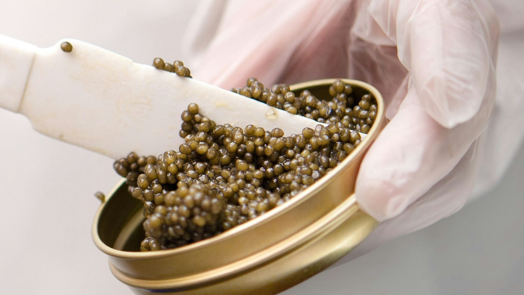 Schrenckii-Kaviar vom Amur-Stör bei «Imperial Caviar» in Berlin