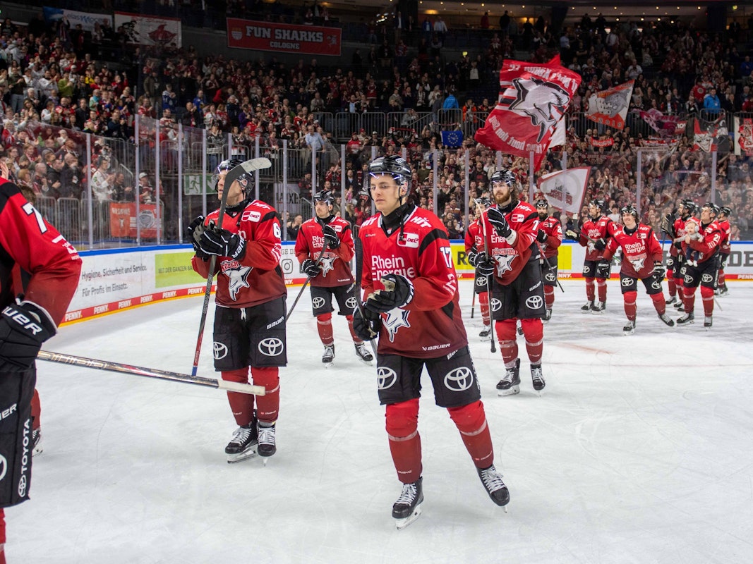 Die Spieler der Kölner Haie in der DEL auf dem Eis.