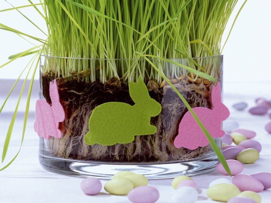 Ostergras in einer Schale