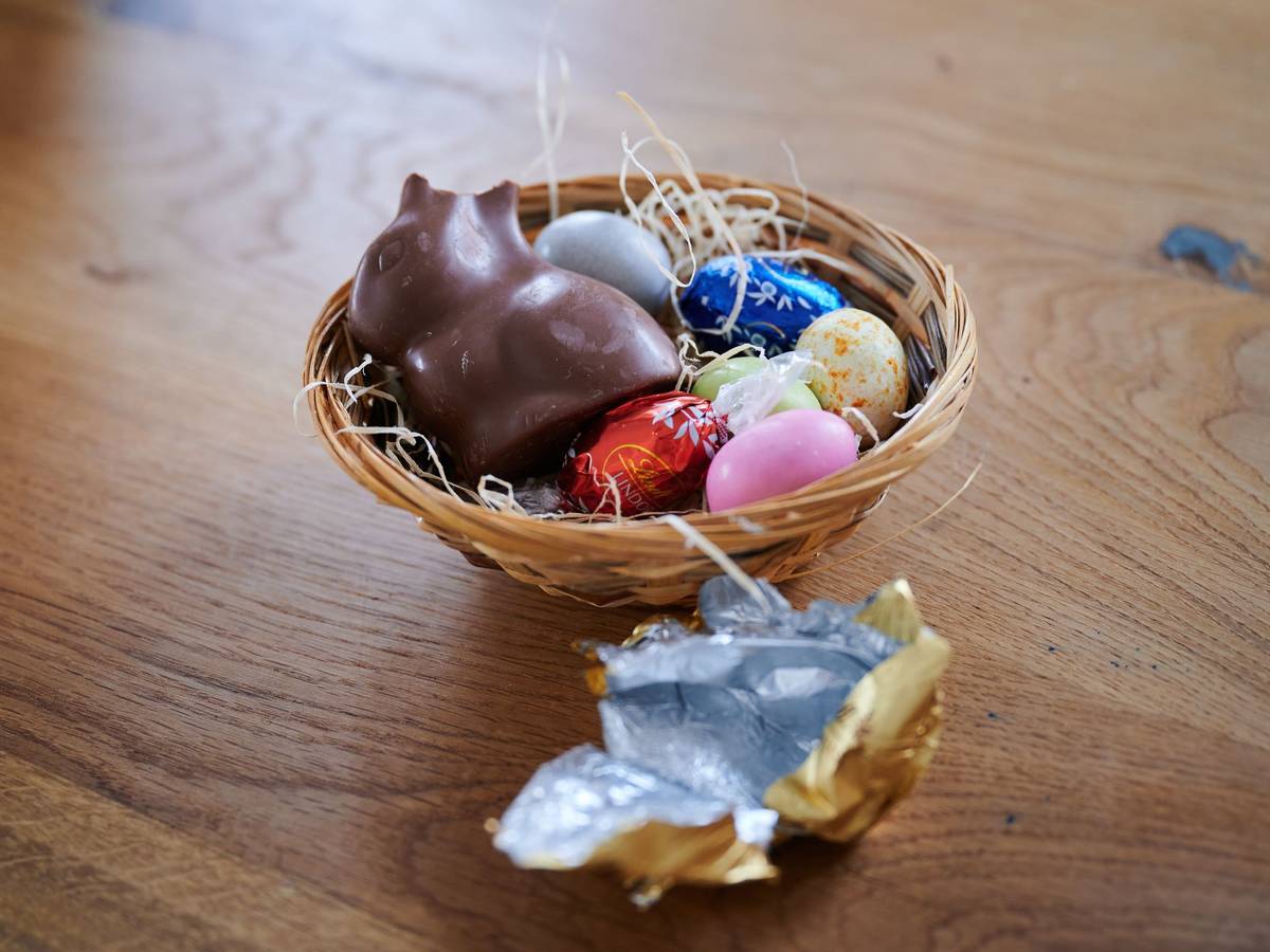Ein Schokoladenhase liegt mit Eiern in einem Osternest