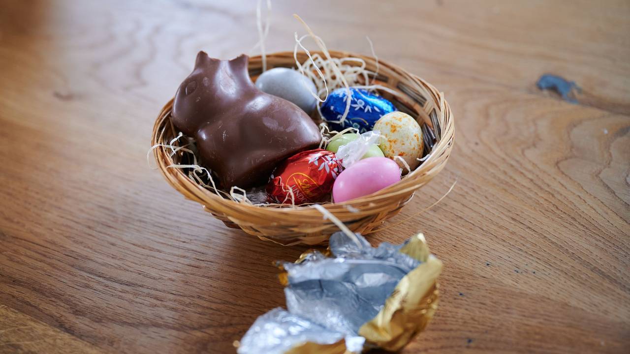 Ein Schokoladenhase liegt mit Eiern in einem Osternest