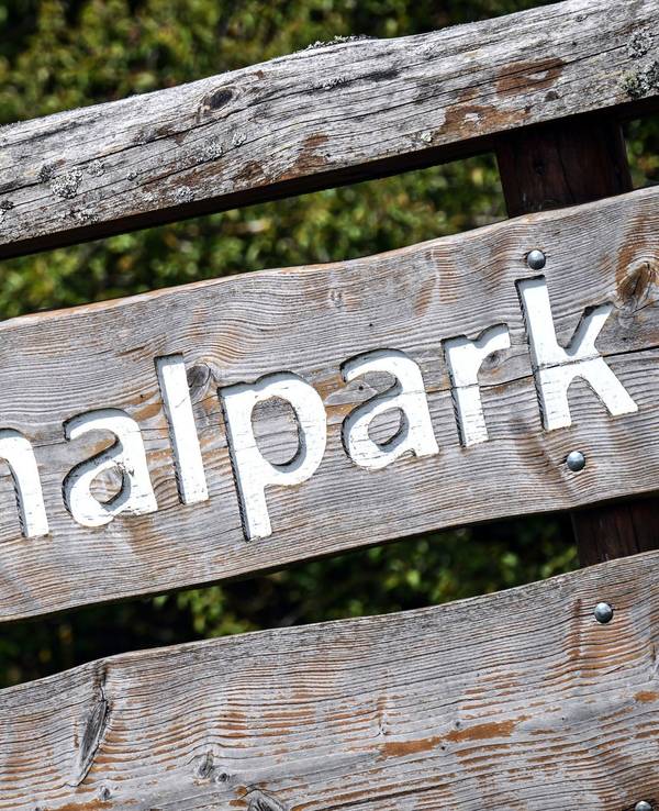 Kreis nimmt neuen Anlauf für Nationalpark im Rothaargebirge