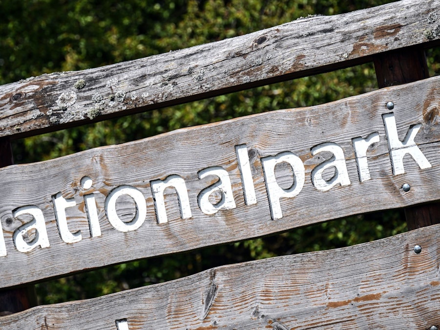 Kreis nimmt neuen Anlauf für Nationalpark im Rothaargebirge