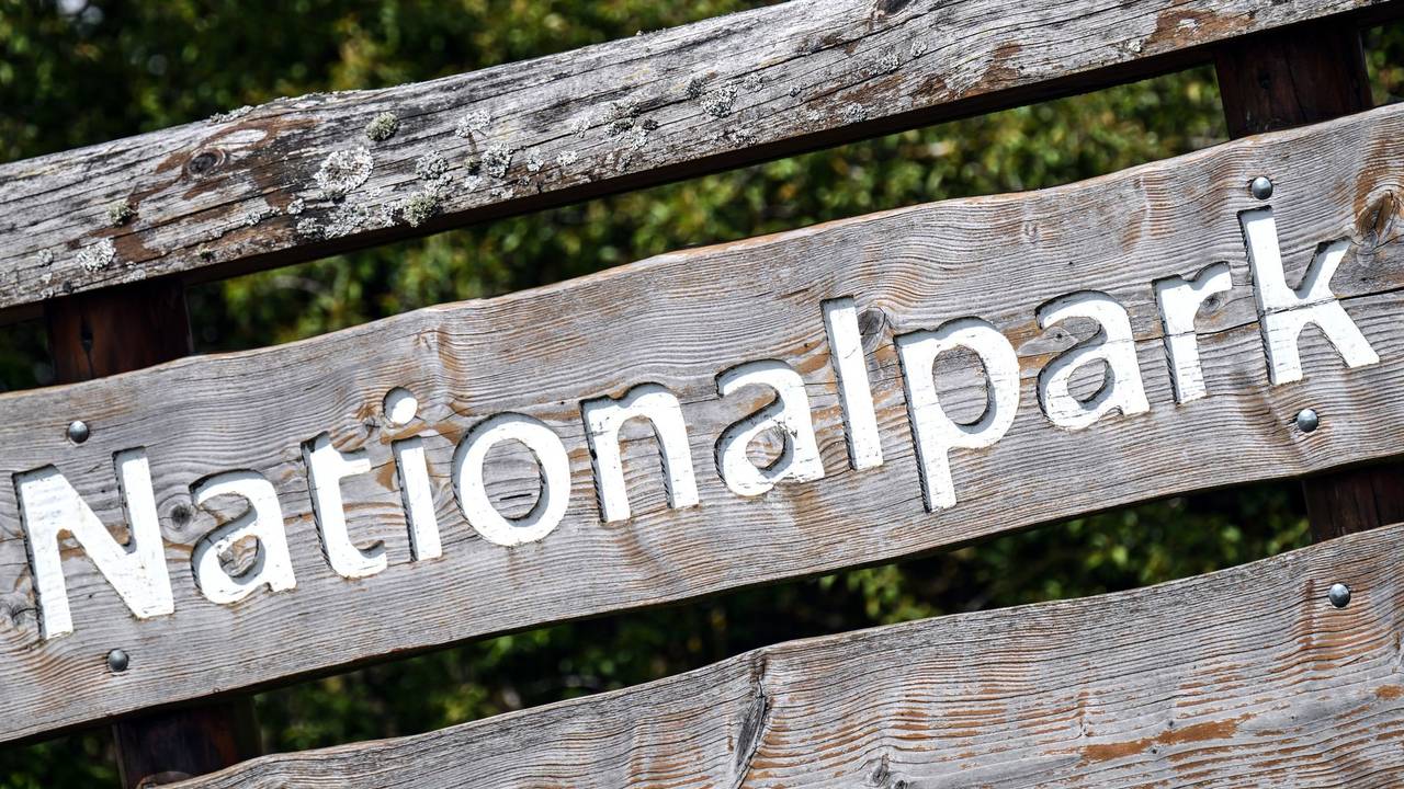 Kreis nimmt neuen Anlauf für Nationalpark im Rothaargebirge