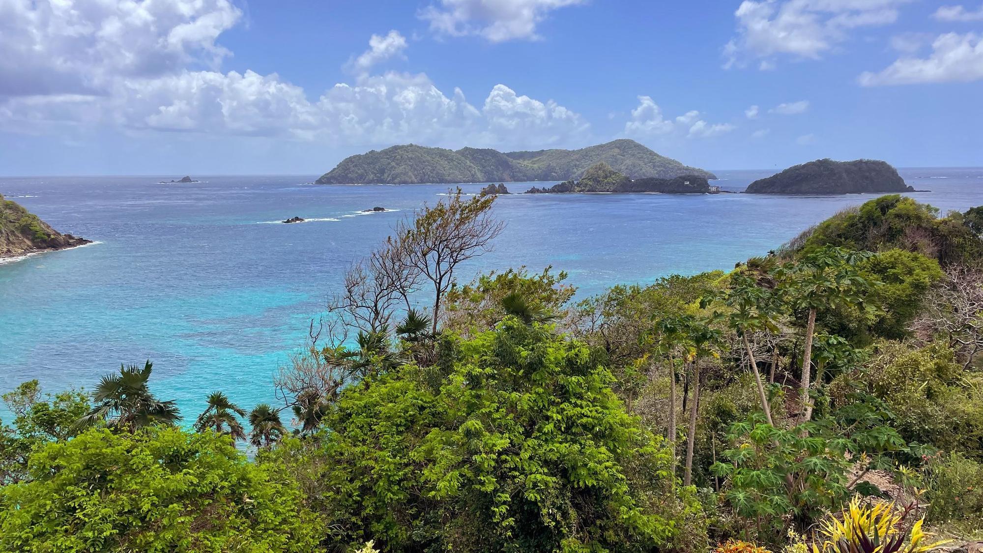 Blick auf Little Tobago