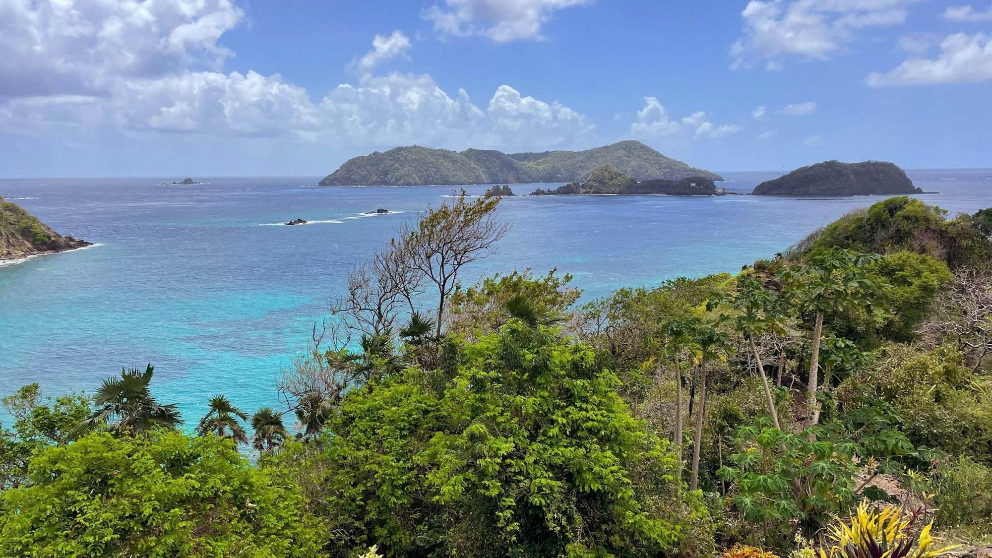 Blick auf Little Tobago