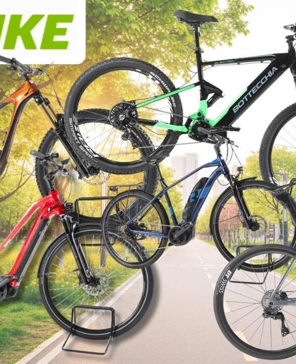 Verschiedene E-Bikes auf Fahrradständern vor einem frühlingshaften Park-Hintergrund mit blühenden Bäumen und einem Radweg: ein orangefarbenes E-Mountainbike mit Fully-Rahmen, ein schwarzes E-MTB mit grünen Akzenten der Marke Bottecchia, ein rotes E-Trekkingrad, ein blaues E-Cityrad sowie ein graues E-Rennrad. Oben links das grüne Rebike-Logo.