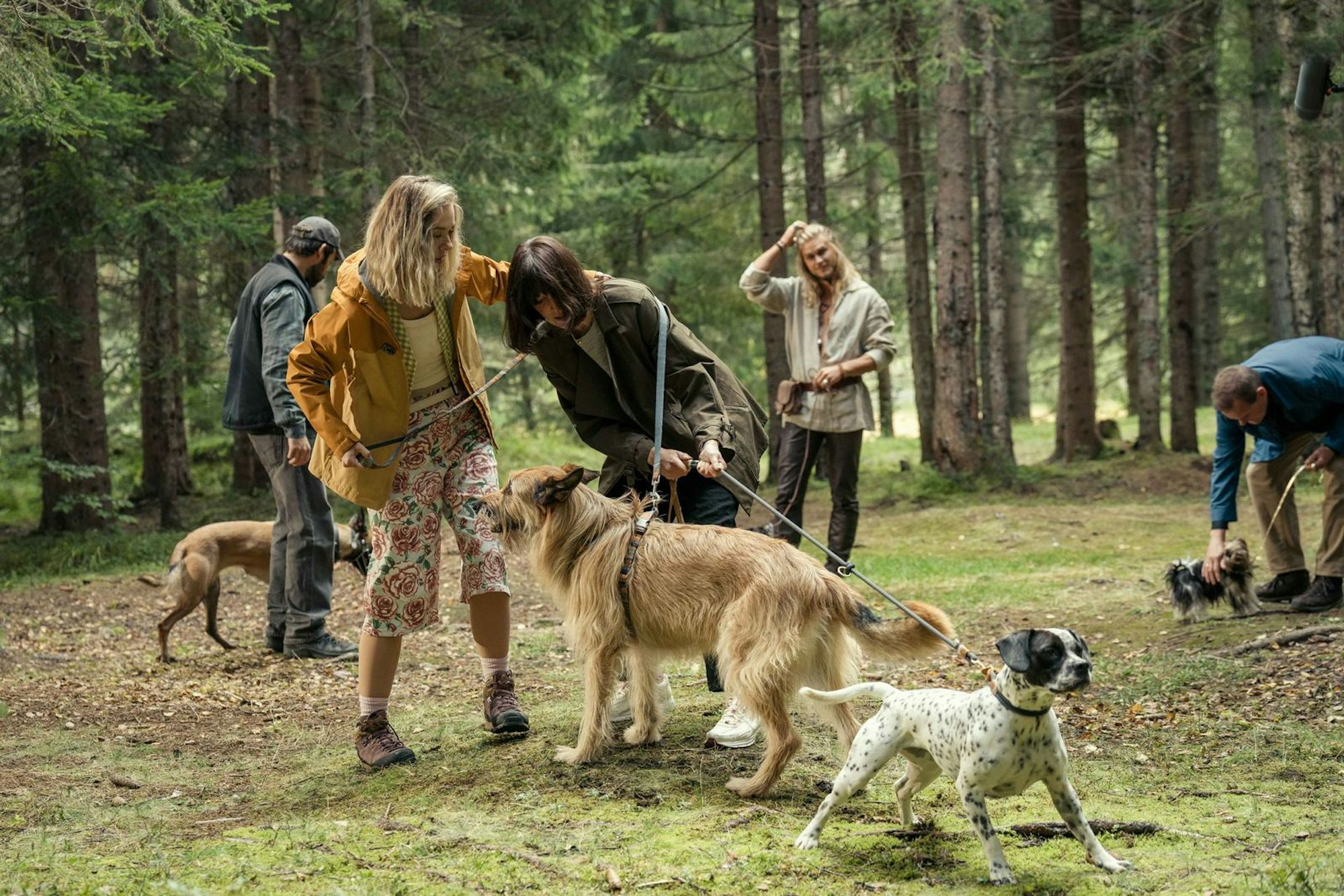 Kuddelmuddel mit Hunden: Alexandra Maria Lara, Anna Herrmann (zweite von links), Devid Striesow (rechts), Doga Gürer, Kerim Waller (links) spielen die Besitzer schwieriger Vierbeiner, die zur Therapie bei Nodon (Rúrik Gíslason, zweiter von rechts) anreisen. (Bild: © Sasha Ostrov / Netflix)