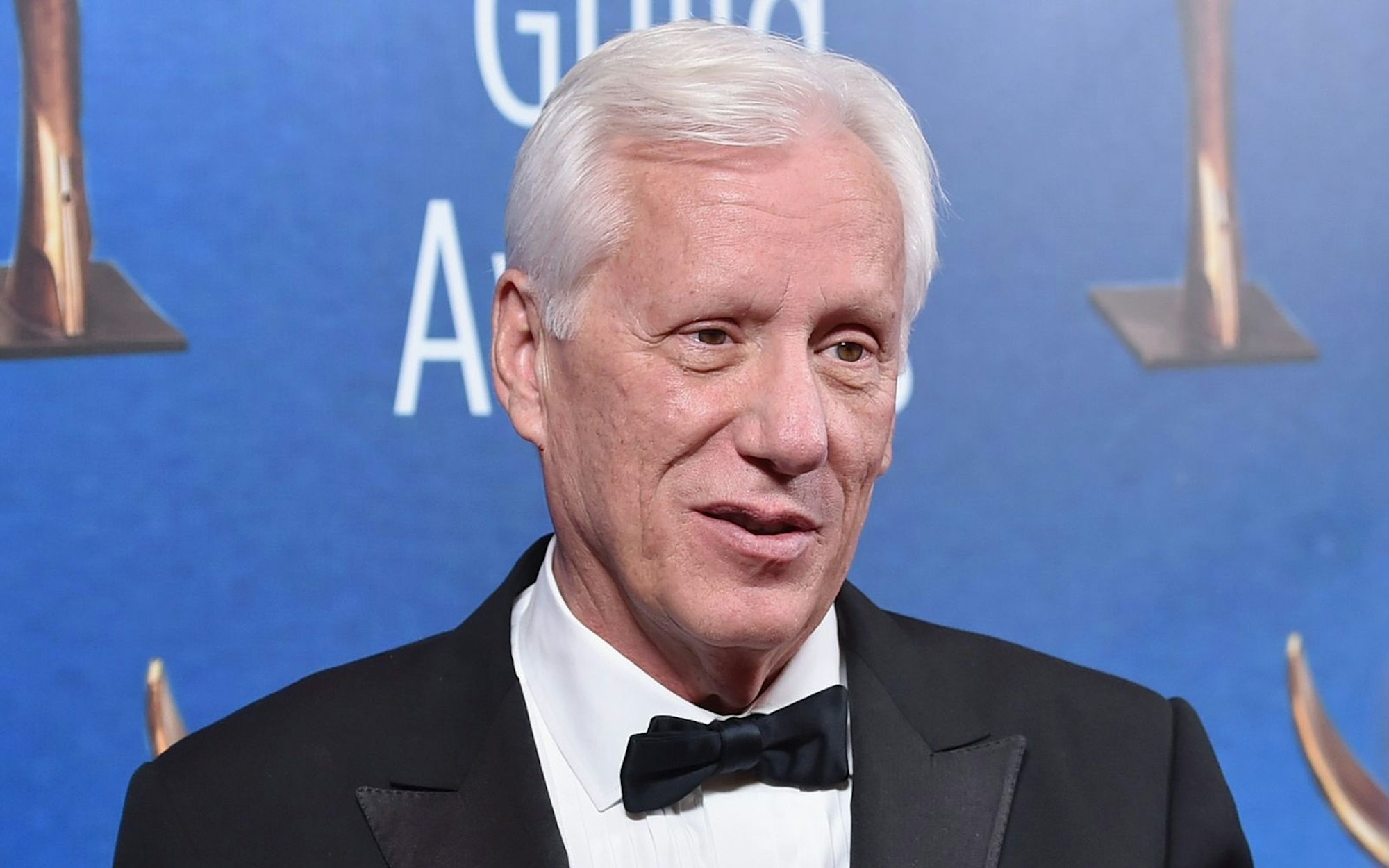 In Sachen Intelligenz unter den Stars gibt es einen, mit dem sie sich alle messen müssen: James Woods. Der Schauspieler und zweifache Oscar-Gewinner besitzt einen sagenhaften IQ von 184. (Bild: Alberto E. Rodriguez/Getty Images for WGAw)