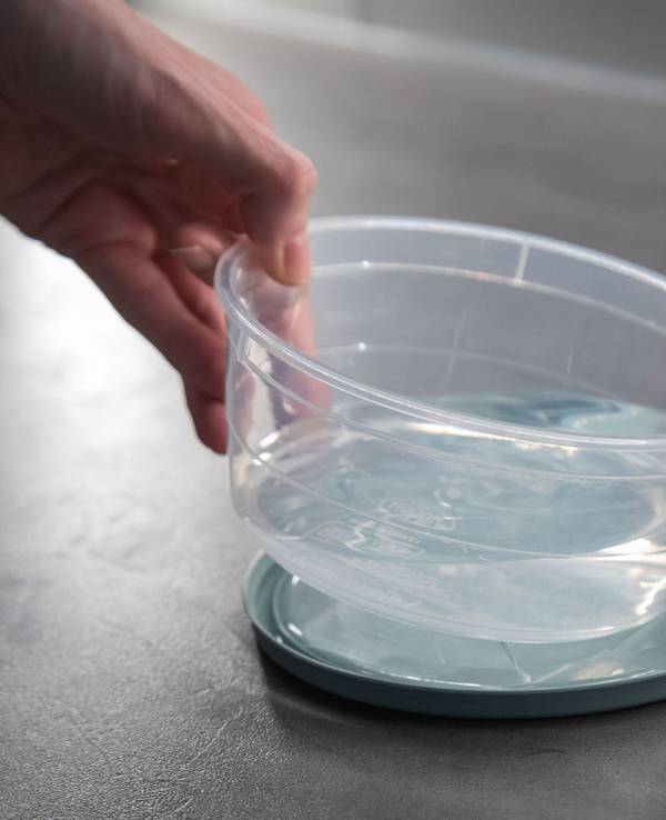 Eier liegen neben einer Schale Wasser