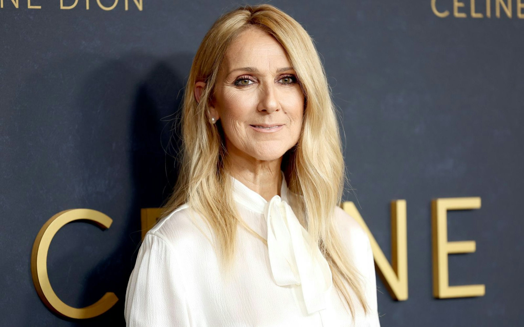 Céline Dion hat in einem Video auf Instagram ihr großes Comeback angekündigt. (Bild: 2024 Getty Images/Cindy Ord)