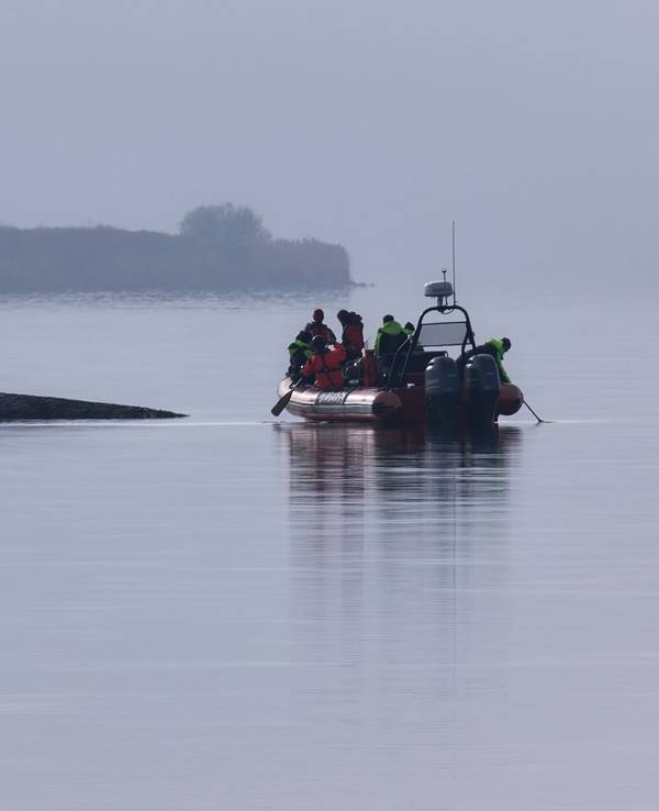 Ein Greenpeace Boot nähert sich dem Buckelwal, der am Vormittag immer noch vor der Insel Poel festsitzt.