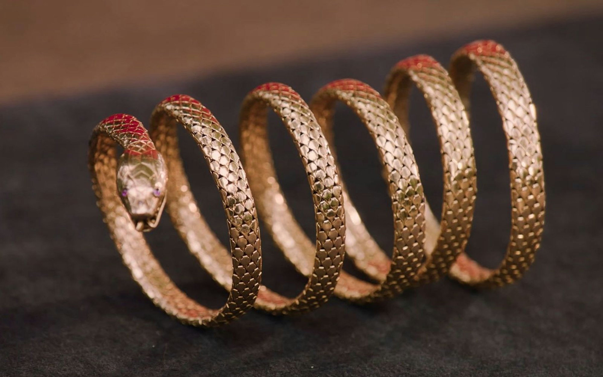 Das Schlangen-Armband begeisterte Lisa Nüdling. (Bild: ZDF)