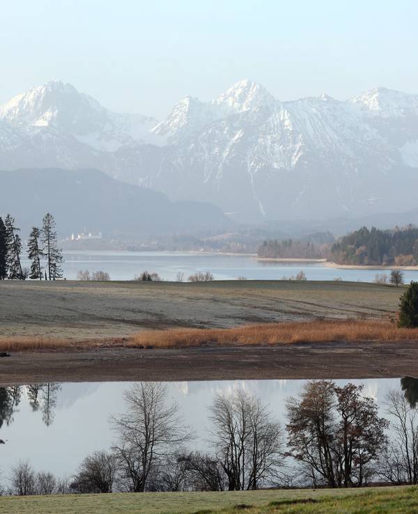Blick auf das Alpenpanorama und den Forggensee