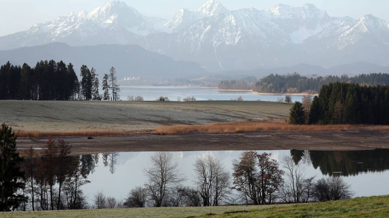 Blick auf das Alpenpanorama und den Forggensee