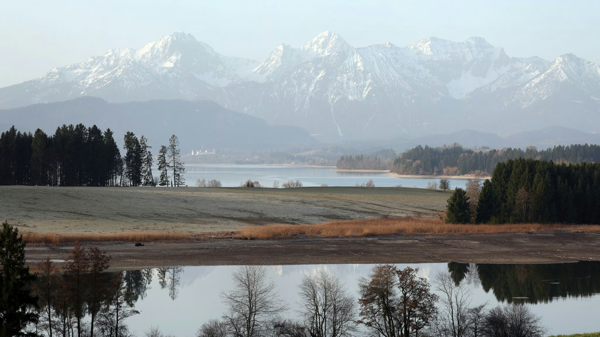 Blick auf das Alpenpanorama und den Forggensee