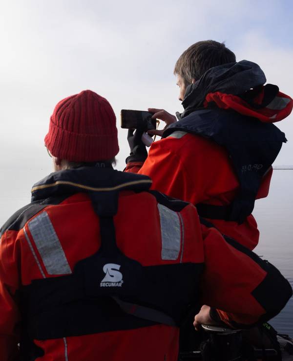 Die von Greenpeace Deutschland zur Verfügung gestellte Aufnahme zeigt den gestrandeten Buckelwal vor der Insel Poel in der Ostsee.