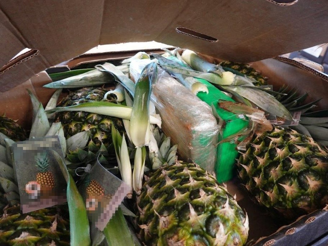 In Plastik verpacktes Kokain steckt zwischen zwei Ananas.
