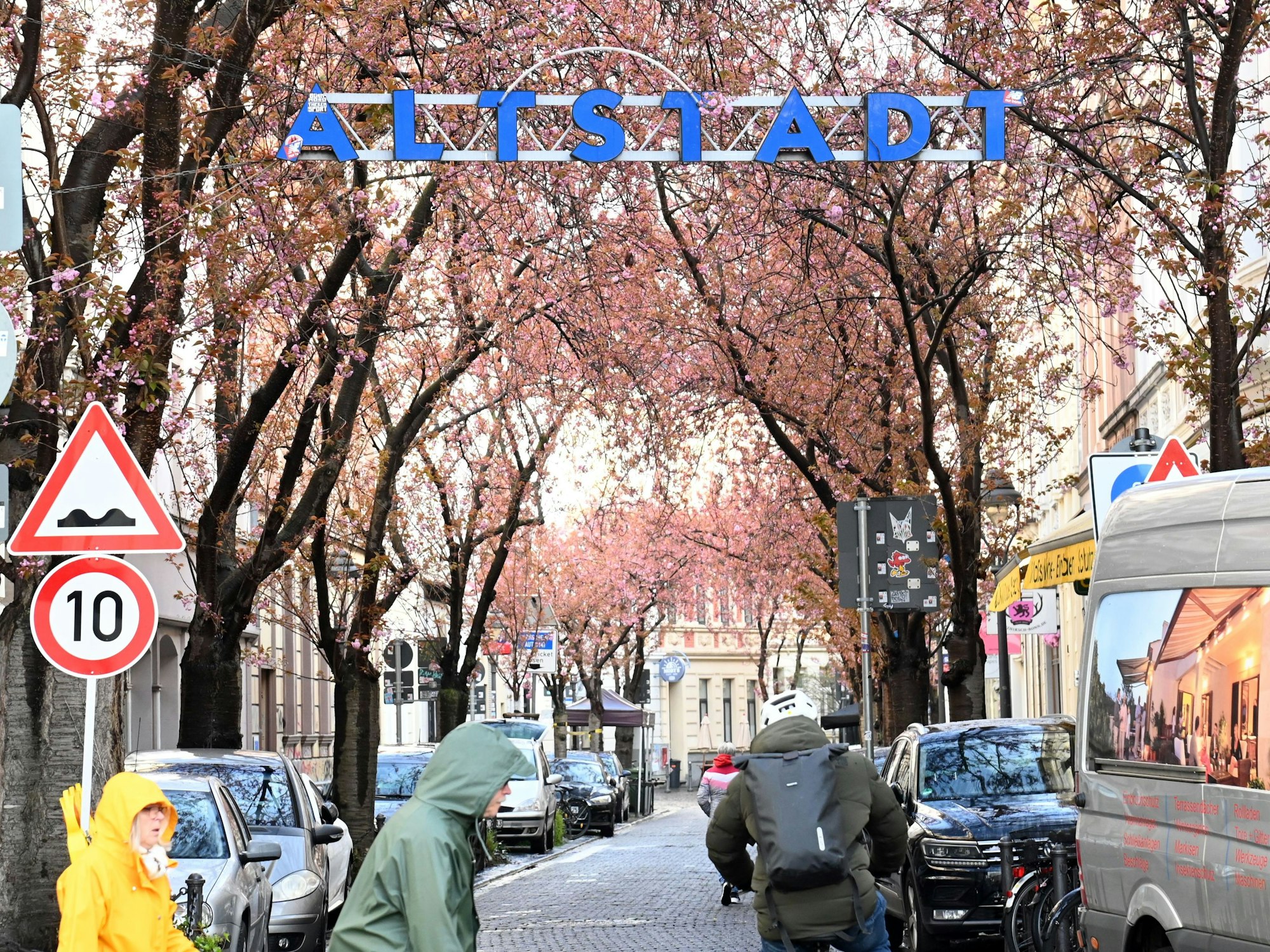 Menschen sind in einer Straße unterwegs, an der rechts und links Kirschbäume stehen.