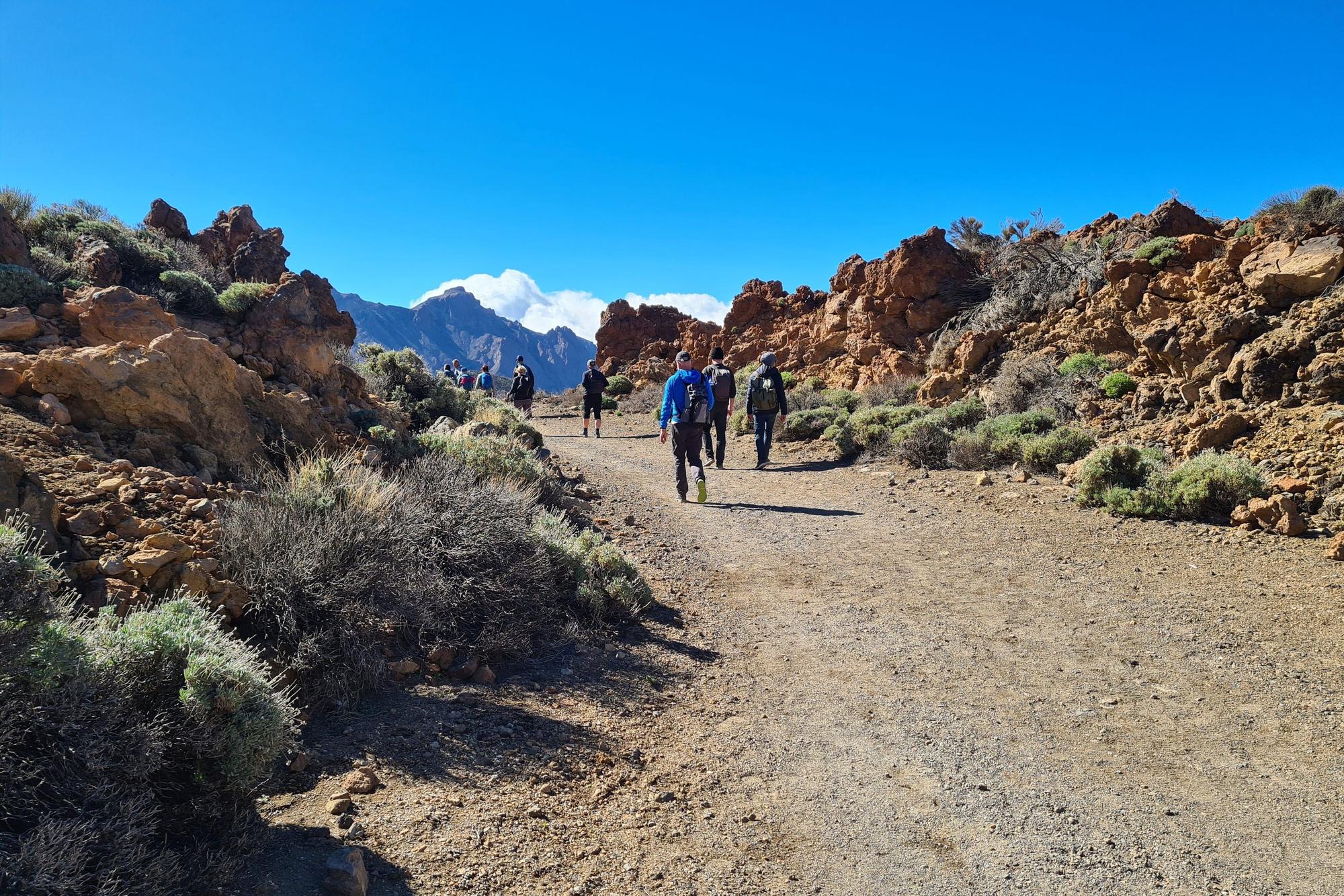 Menschen wandern auf Teneriffa zwischen Felsen.