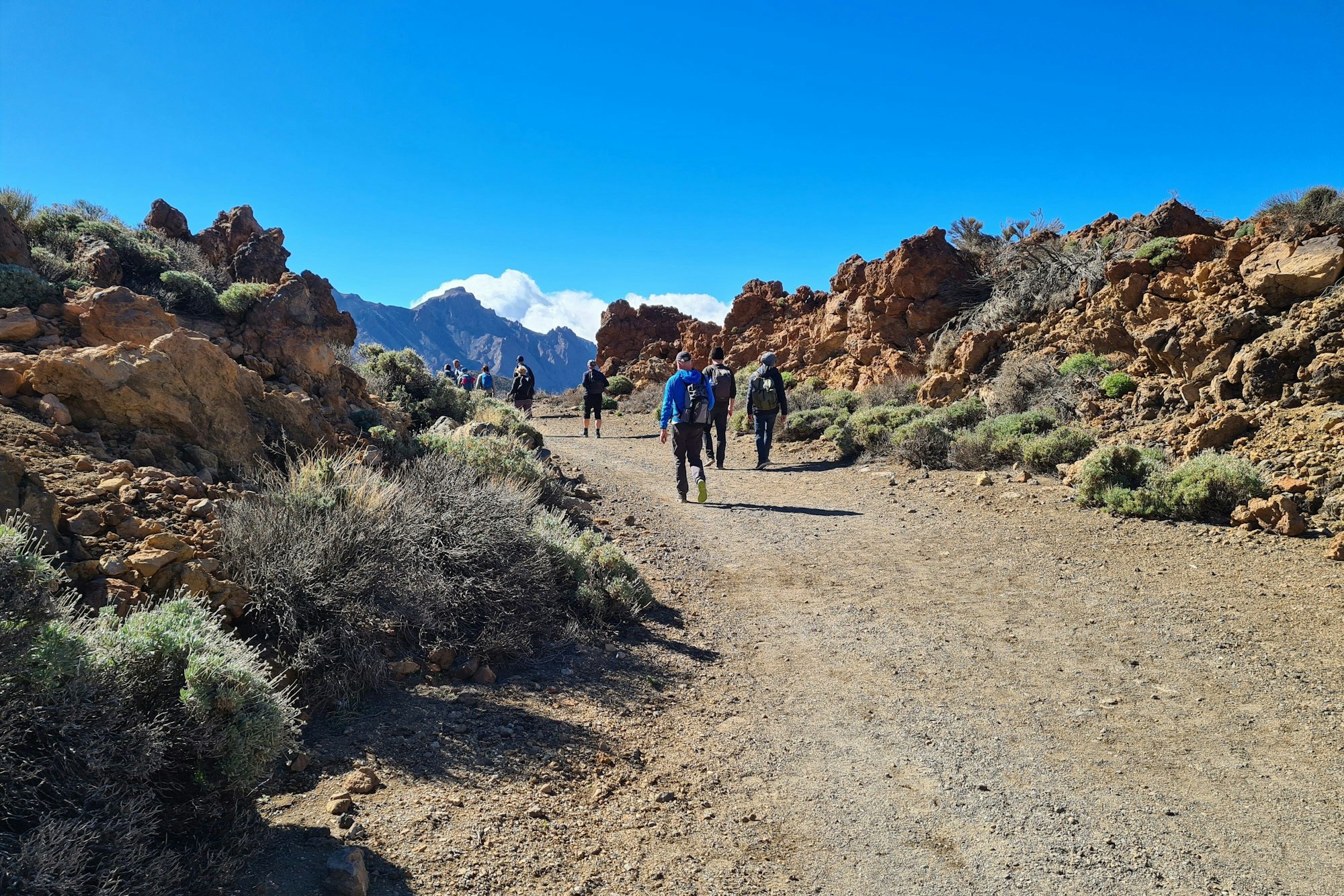 Menschen wandern auf Teneriffa zwischen Felsen.