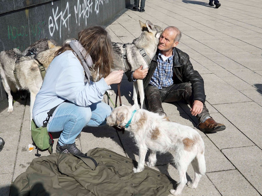 Mann, Frau, Wolfshunde und Hund