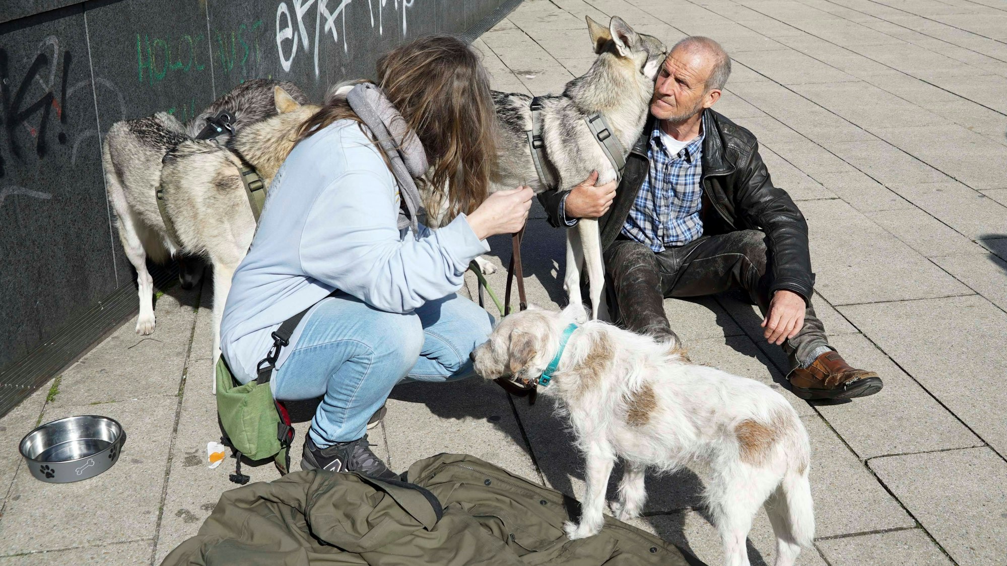 Mann, Frau, Wolfshunde und Hund