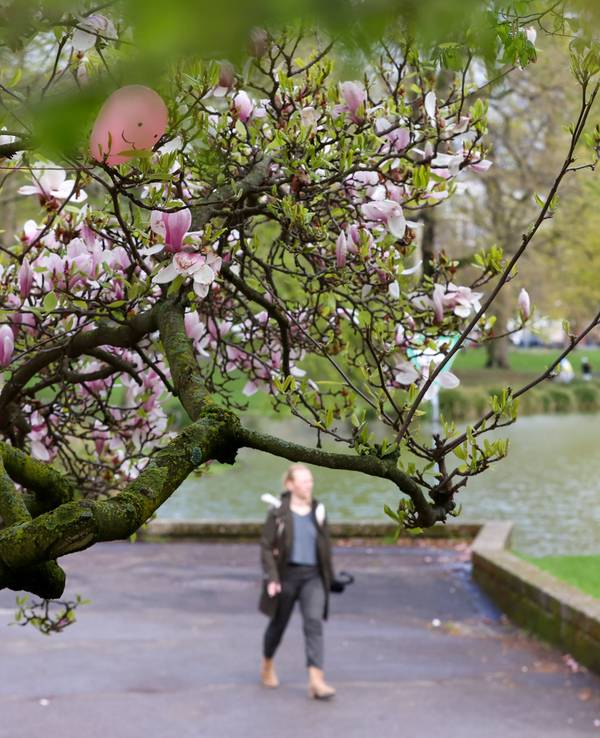 Ein Fussgänger ist mit Winterjacke und Regenschirm im Theodor-Heuss-Park unterwegs – beides kann er in dieser Woche getrost im Schrank lassen.