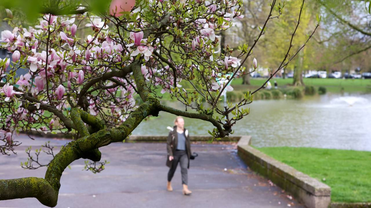Ein Fussgänger ist mit Winterjacke und Regenschirm im Theodor-Heuss-Park unterwegs – beides kann er in dieser Woche getrost im Schrank lassen.