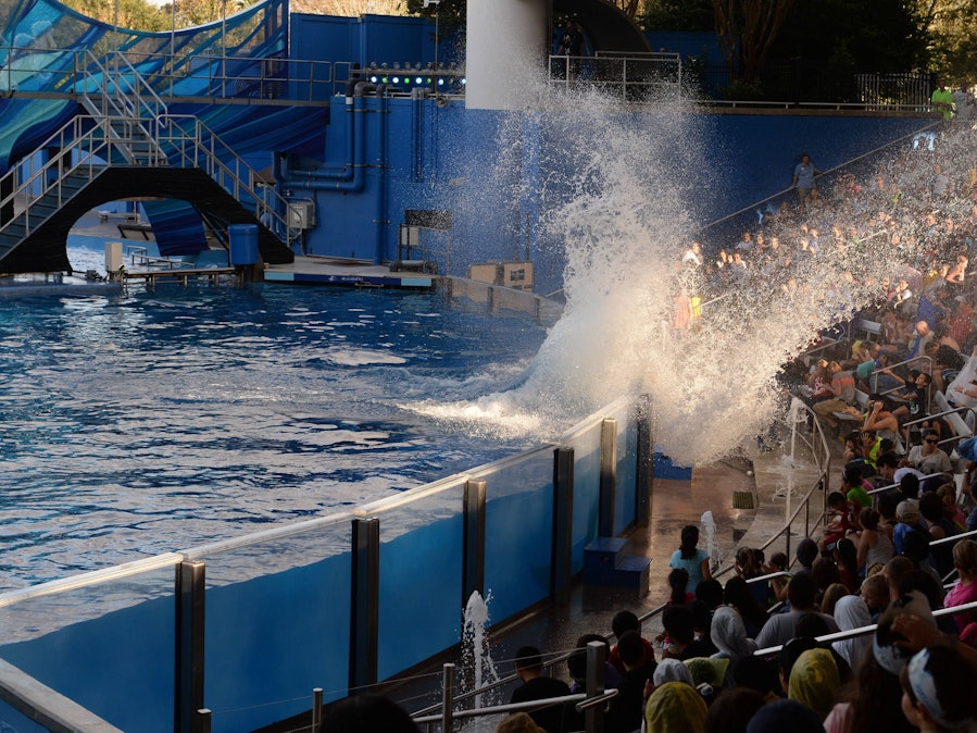 Zuschauer im Stadion und großer Wasserspritzer