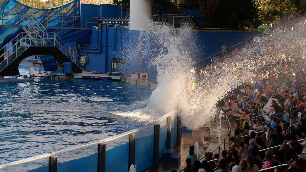 Zuschauer im Stadion und großer Wasserspritzer.