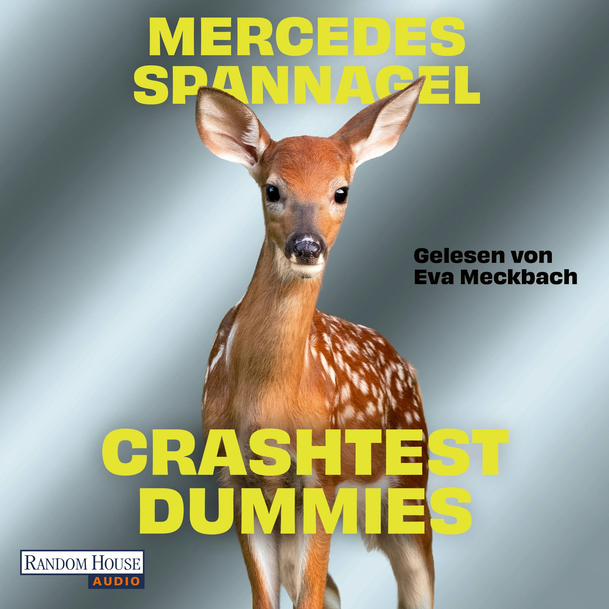 Crashtest Dummies von Mercedes Spannagel