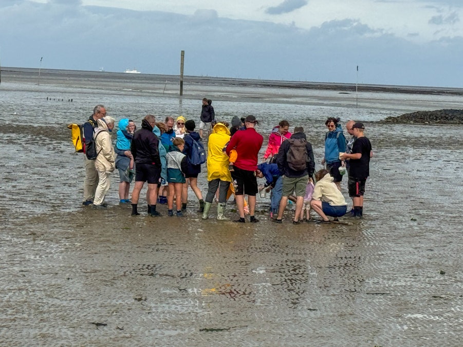 Touristen bei einer Wattwanderung im Wattenmeer