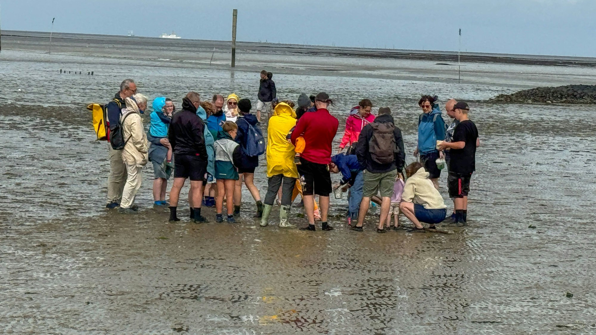 Touristen bei einer Wattwanderung im Wattenmeer