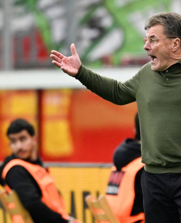 Dieter Hecking tobt am Spielfeldrand.
