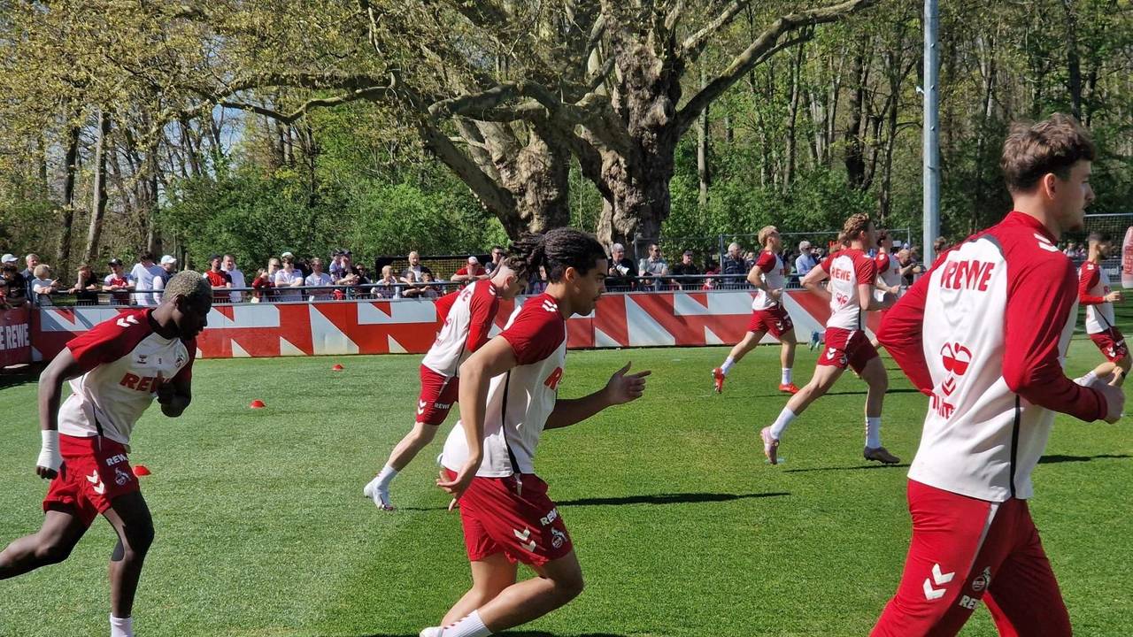Jahmai Simpson-Pusey im Training beim 1. FC Köln.