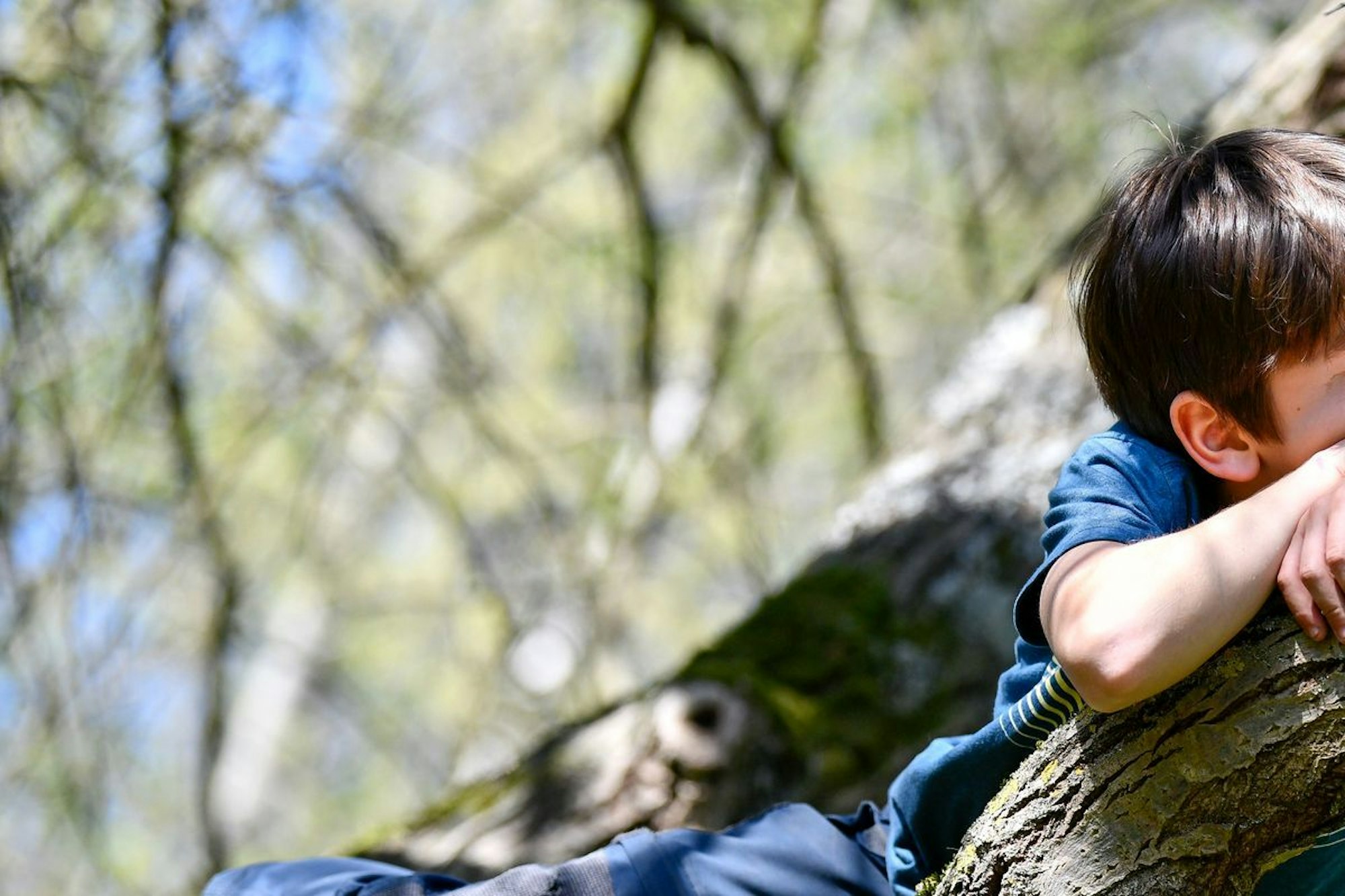 Junge kletter in einem Baum