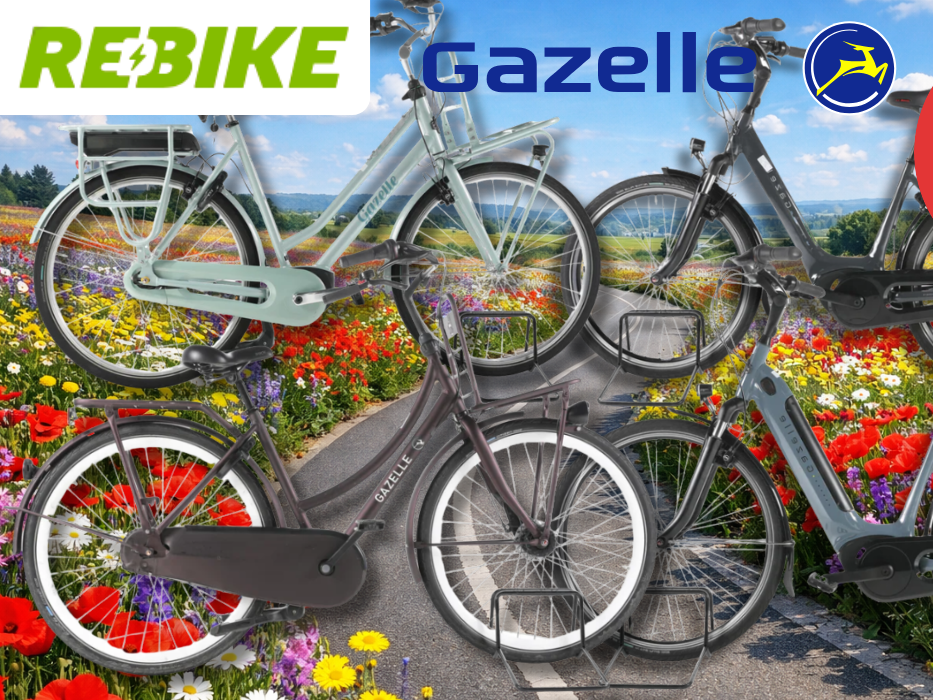 4 verschiedene Gazelle Fahrräder vor einem Fahrradweg.