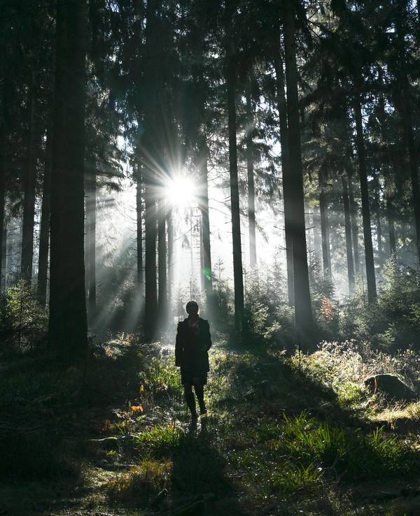 Eine Spaziergängerin ist im Wald im Taunus