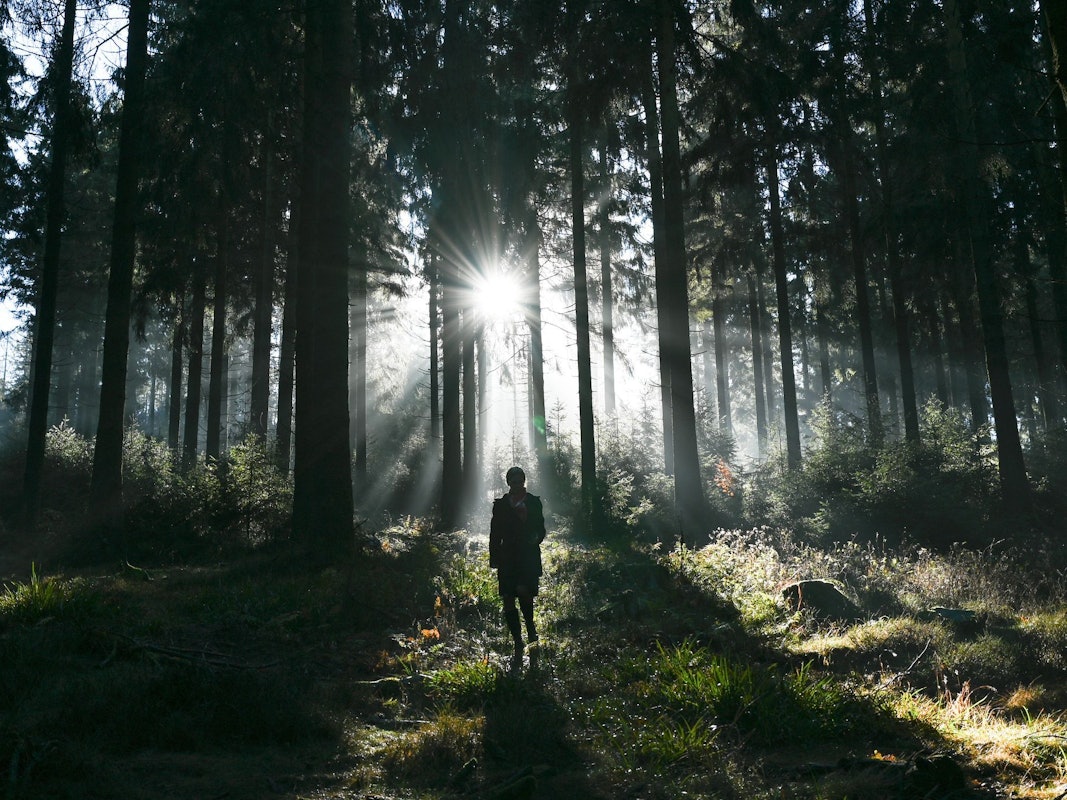 Eine Spaziergängerin ist im Wald im Taunus