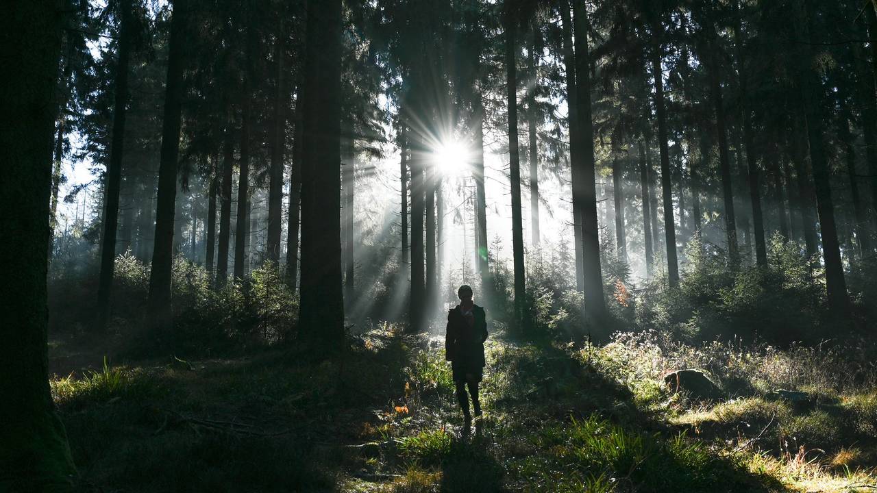 Eine Spaziergängerin ist im Wald im Taunus