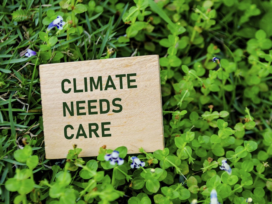 Holzblock mit Aufschrift „CLIMATE NEEDS CARE“ in Pflanzen
