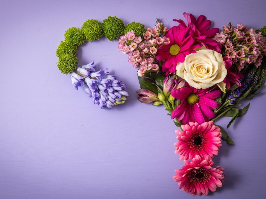 Weibliche reproduktives System aus Blumen