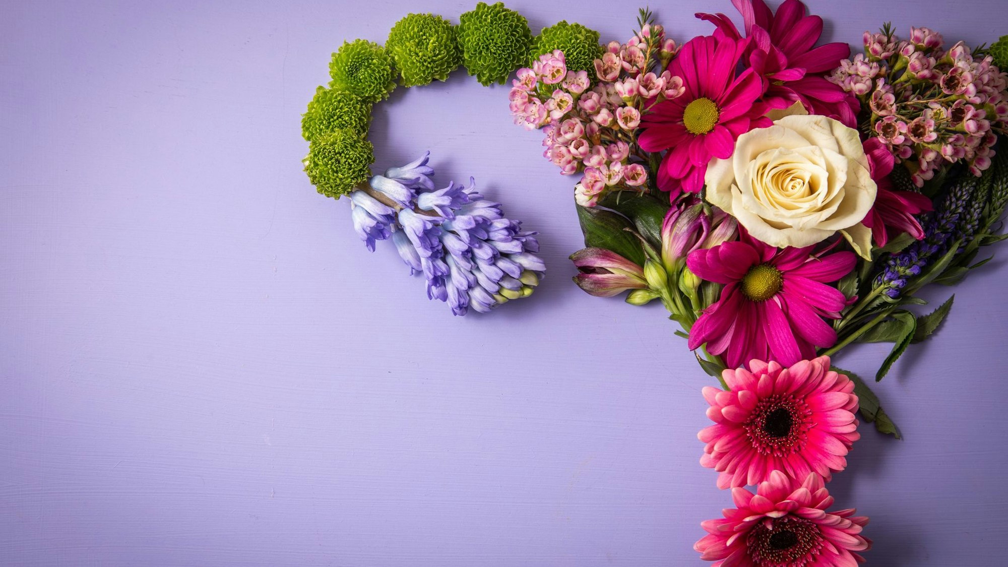 Weibliche reproduktives System aus Blumen