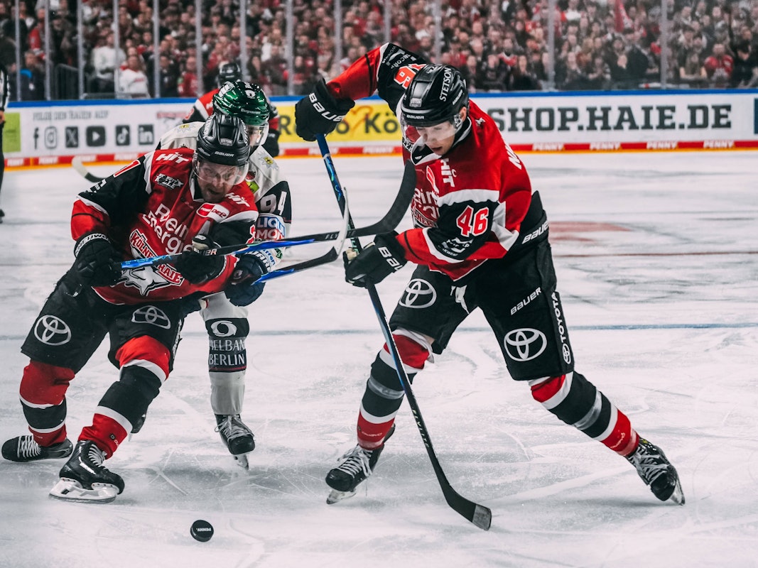 Spielszene in den DEL-Playoffs beim Duell der Kölner Haie gegen die Eisbären Berlin.