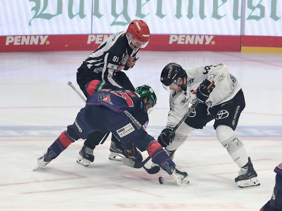 Bully beim DEL-Spiel Eisbären Berlin - Kölner Haie.