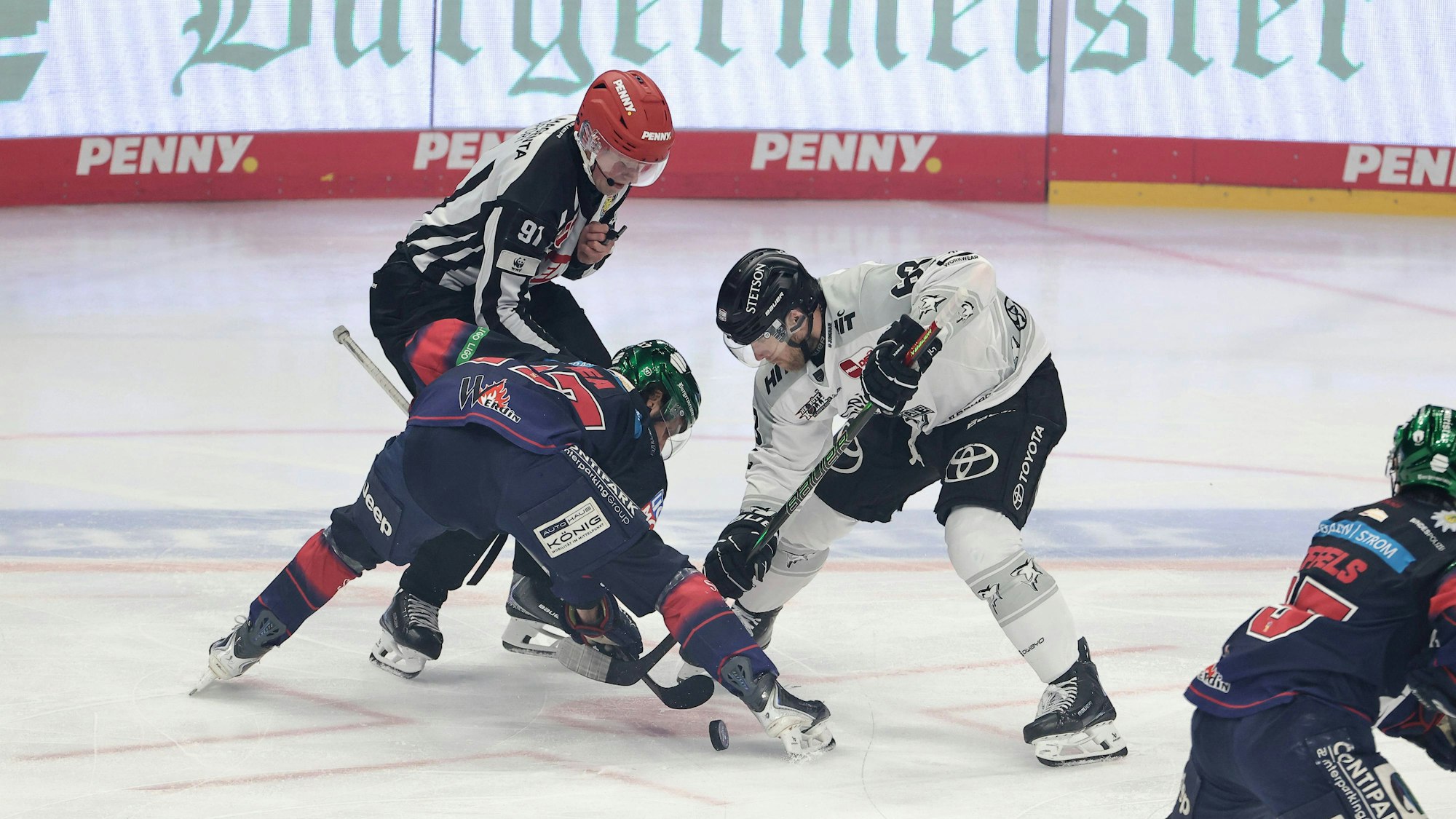 Bully beim DEL-Spiel Eisbären Berlin - Kölner Haie.